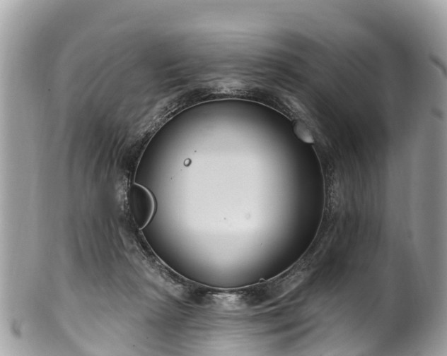 X0000101180265200807071252