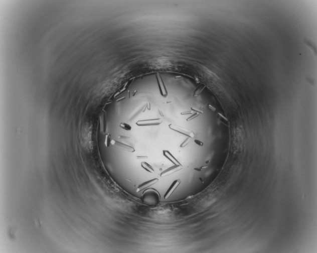 X0000101180267200807071252
