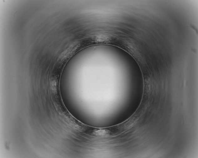 X0000101180269200807071252