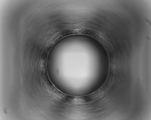 X0000101180270200807071252