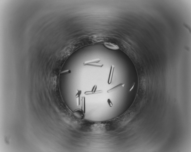 X0000101180271200807071253