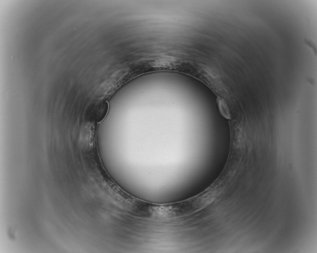 X0000101180273200807071253