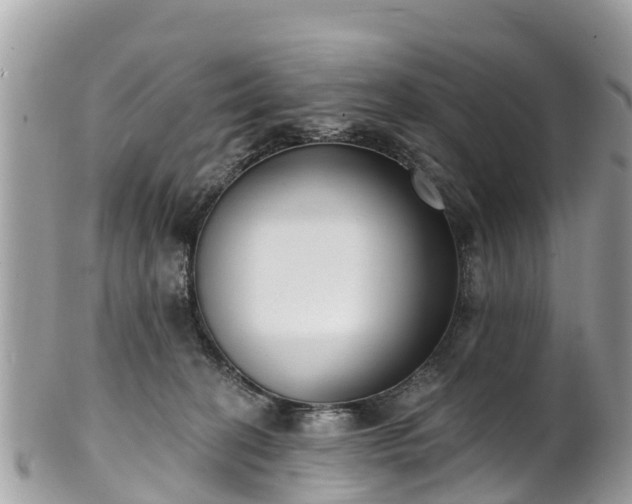 X0000101180274200807071253