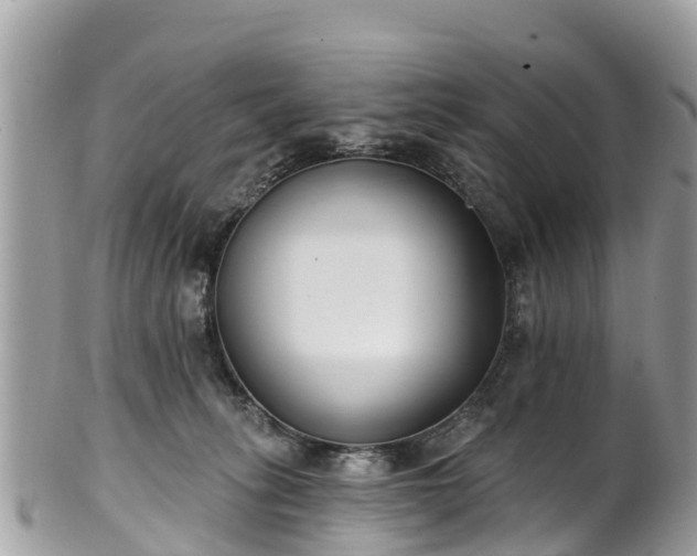 X0000101180275200807071253