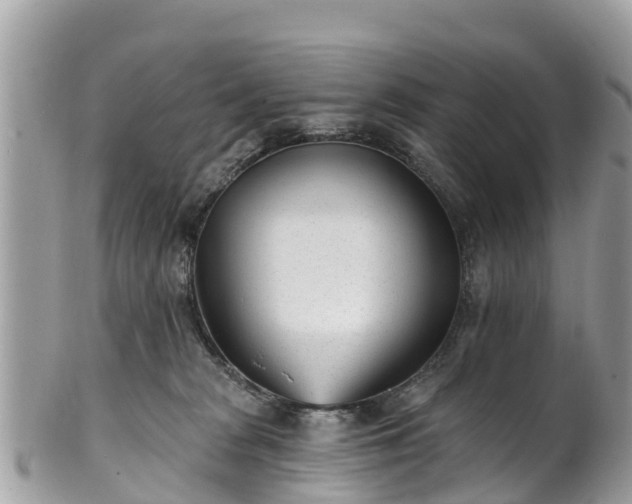 X0000101180277200807071253