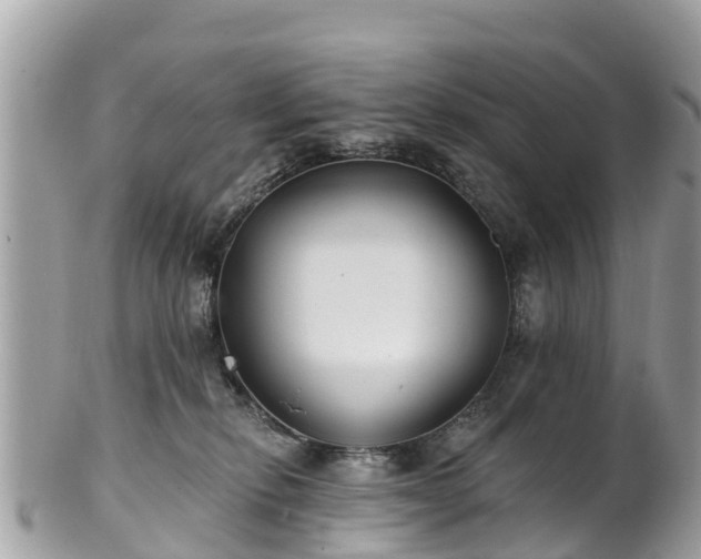 X0000101180278200807071253