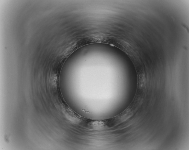 X0000101180279200807071253
