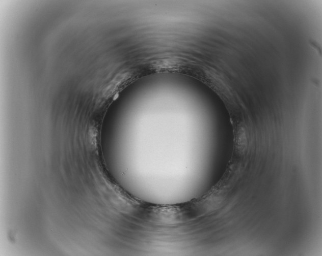 X0000101180282200807071253