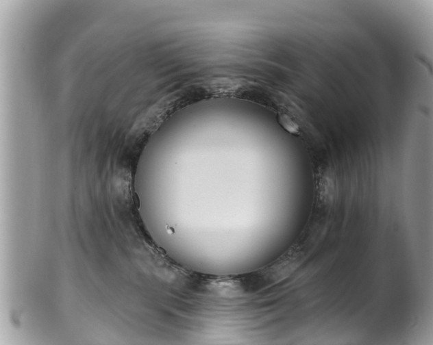 X0000101180283200807071253