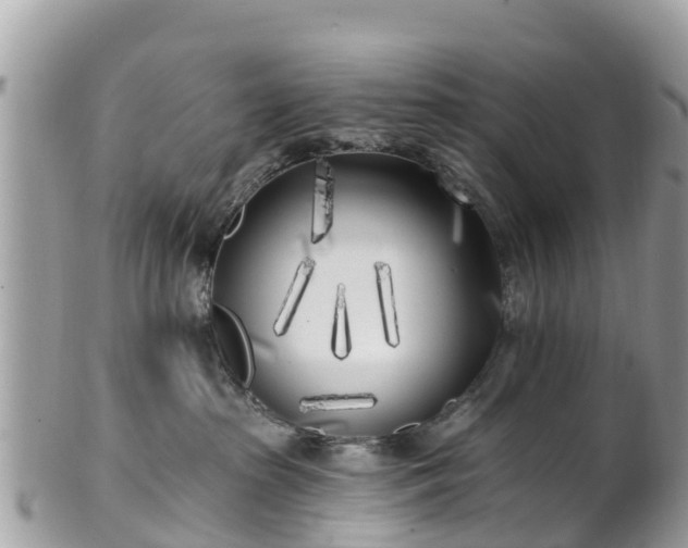X0000101180285200807071253