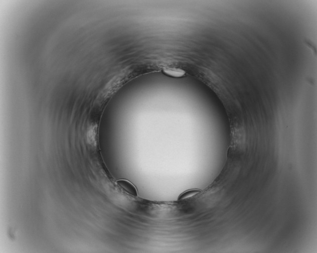 X0000101180286200807071253