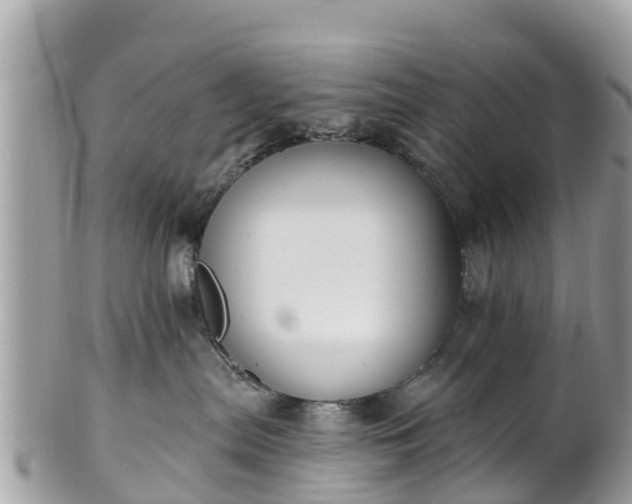 X0000101180287200807071253