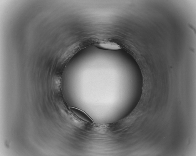 X0000101180288200807071253