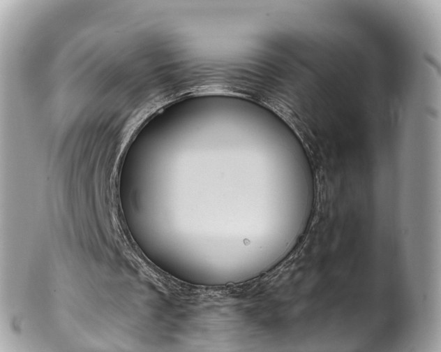 X0000101180289200807071252