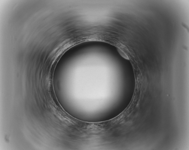 X0000101180290200807071252