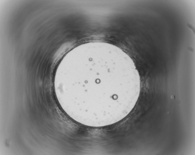 X0000101180293200807071252