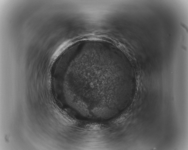 X0000101180295200807071252