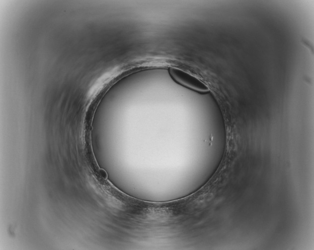 X0000101180296200807071252
