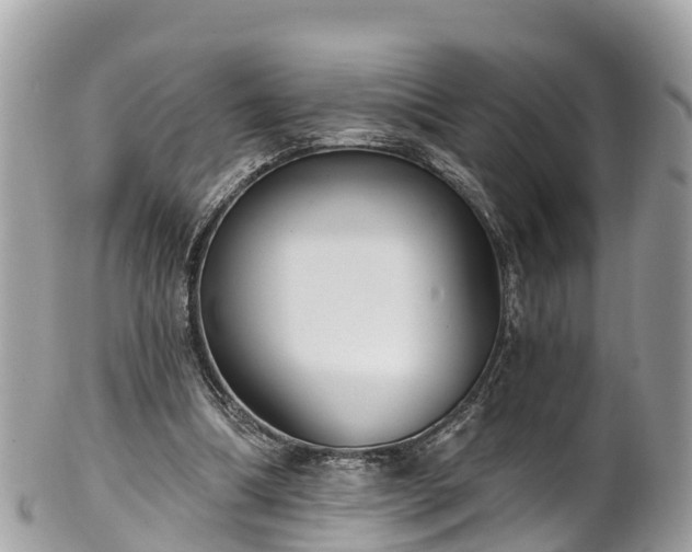 X0000101180298200807071252