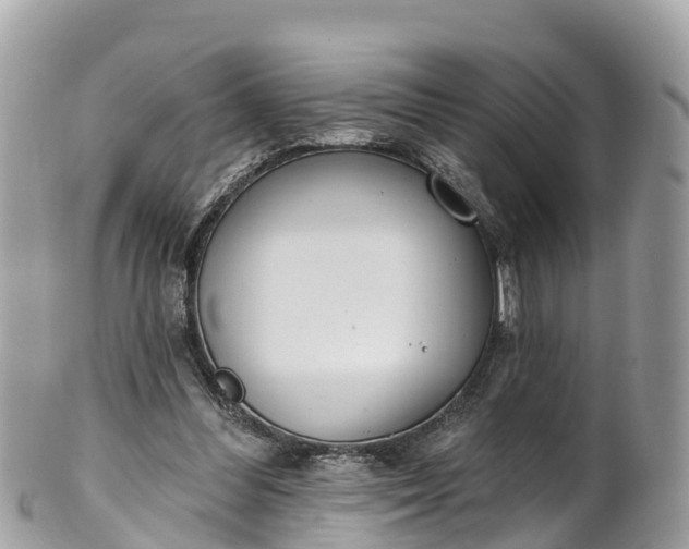 X0000101180300200807071252