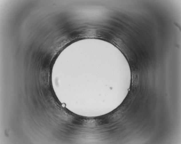 X0000101180301200807071252