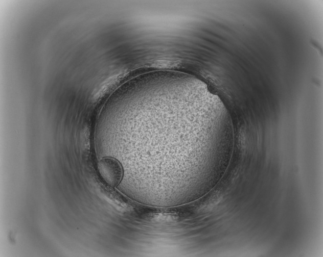 X0000101180303200807071252