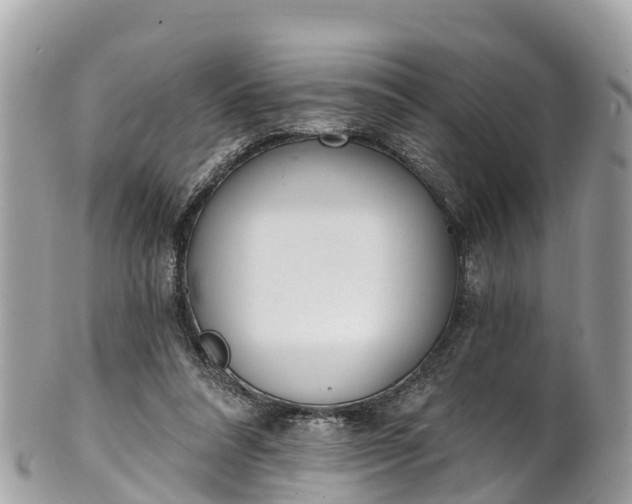 X0000101180304200807071252
