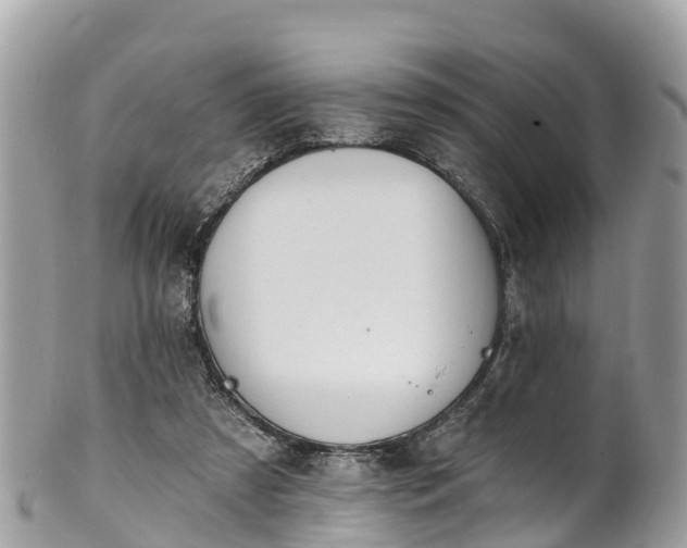 X0000101180305200807071252