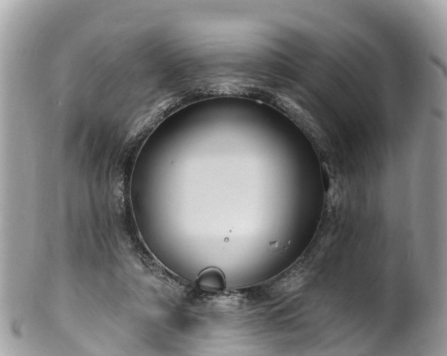 X0000101180306200807071252
