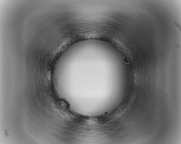 X0000101180308200807071252