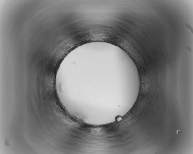X0000101180309200807071252