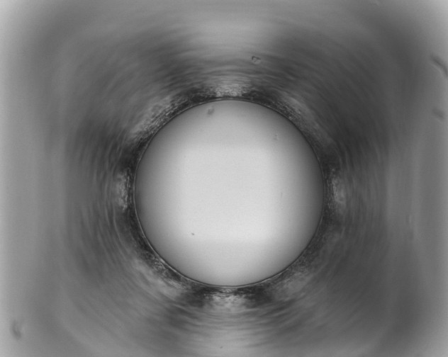 X0000101180311200807071252