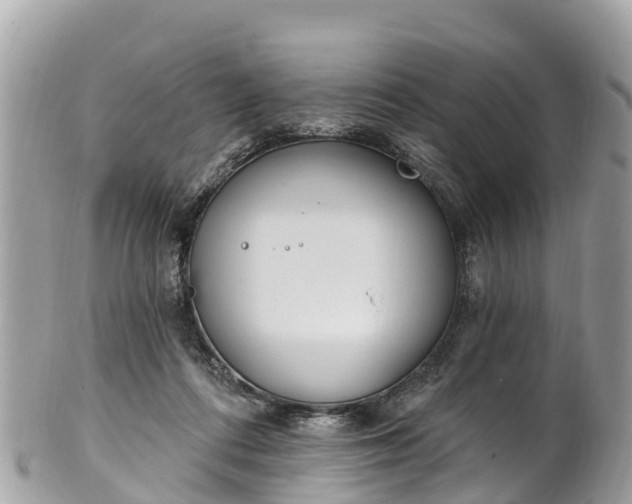 X0000101180312200807071252