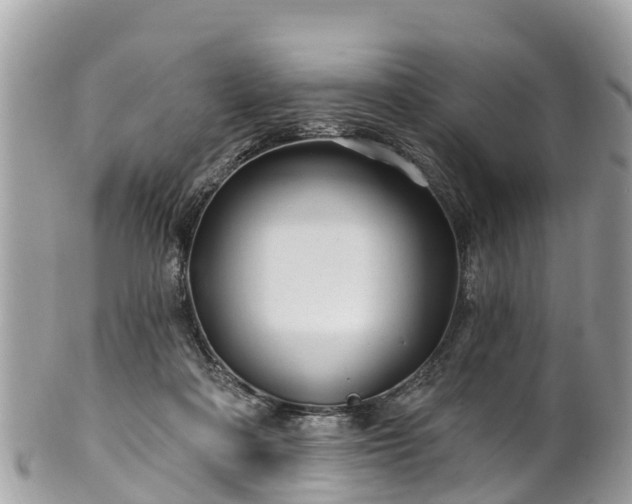 X0000101180314200807071252