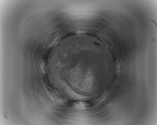 X0000101180316200807071252