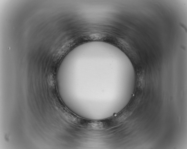 X0000101180317200807071251