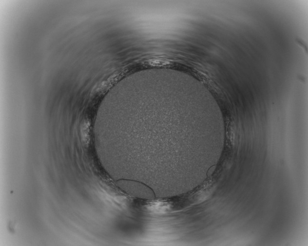 X0000101180319200807071251