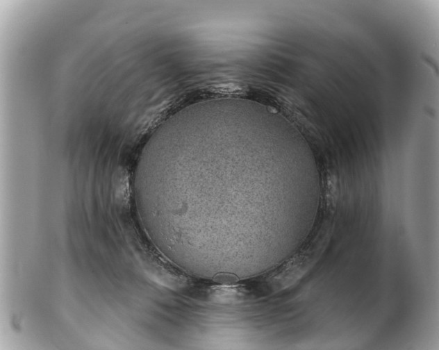 X0000101180320200807071251