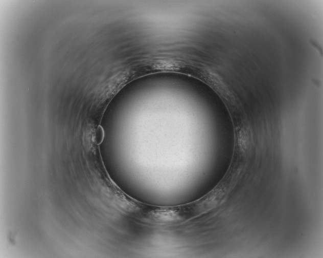 X0000101180322200807071251
