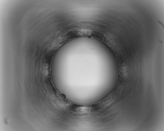 X0000101180323200807071251