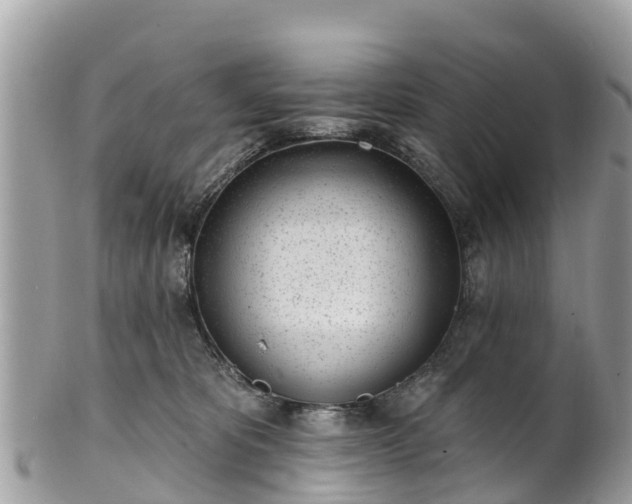 X0000101180325200807071251