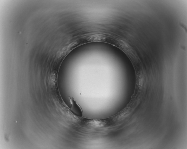X0000101180326200807071251