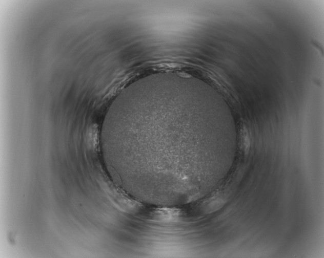 X0000101180328200807071251