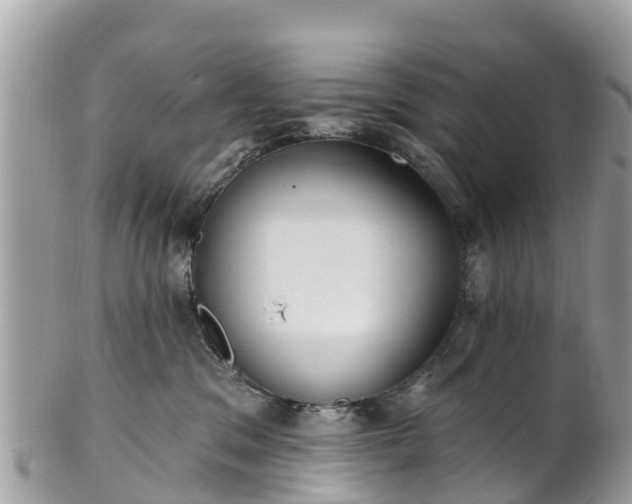 X0000101180329200807071251