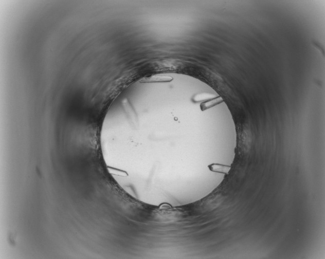 X0000101180331200807071251