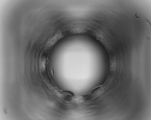 X0000101180334200807071251
