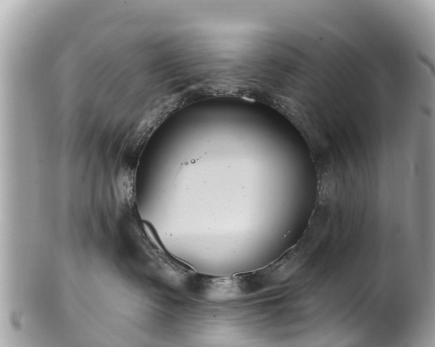 X0000101180335200807071251