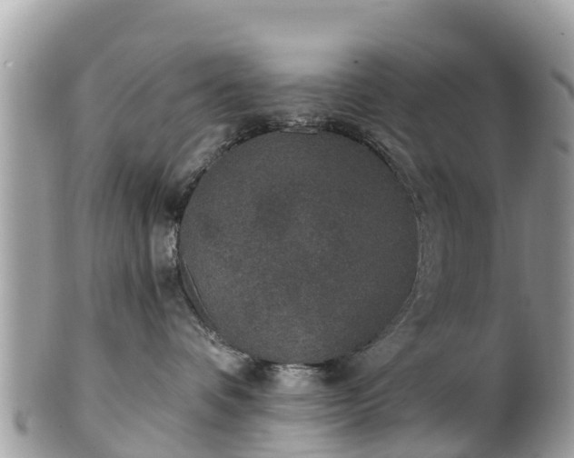 X0000101180336200807071251