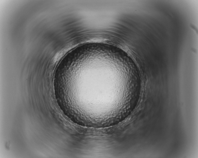 X0000101180337200807071250