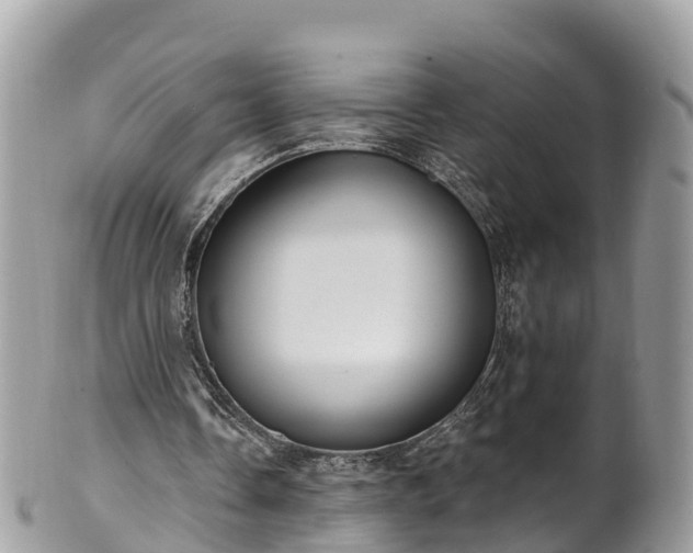 X0000101180338200807071250